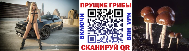 Галлюциногенные грибы мухоморы Скопин